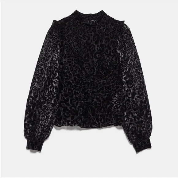 Zara NWT organza blouse - Picture 5 of 10